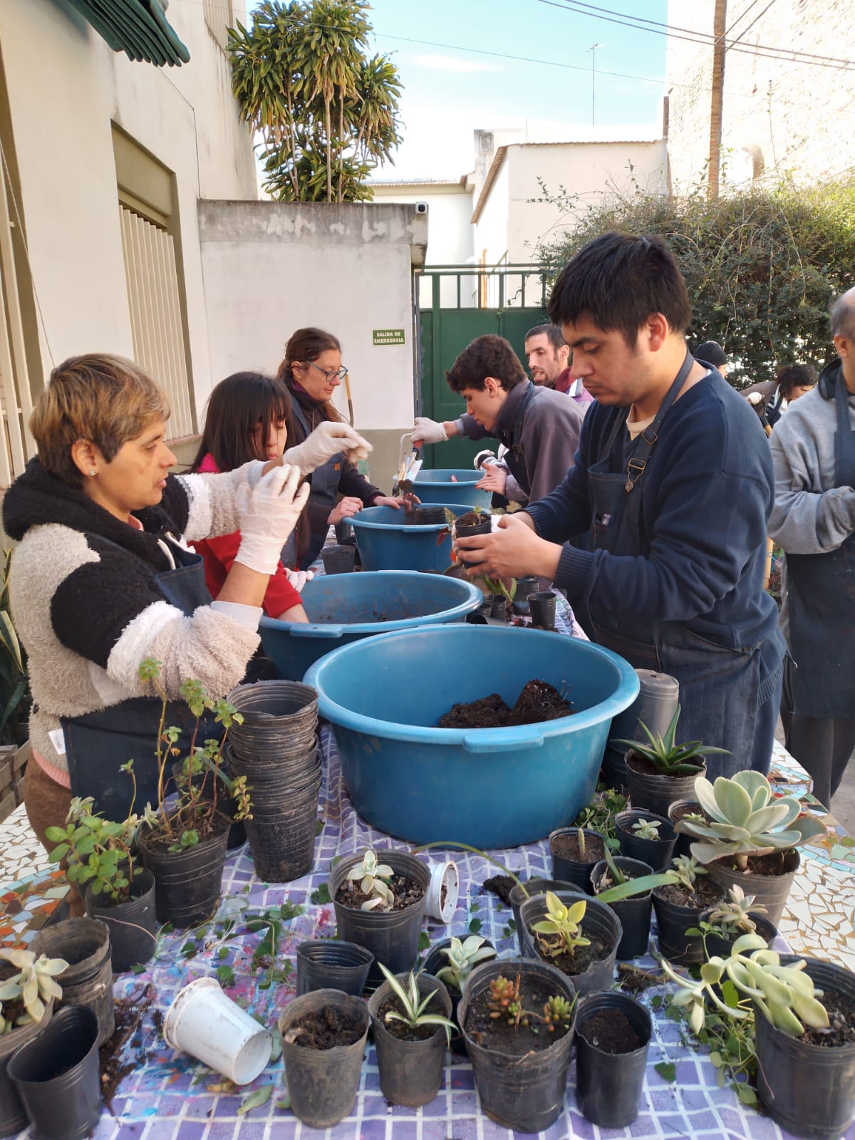 Taller de Tierra